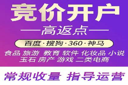 百度竞价推广的技巧与策略：某企业成功案例分享